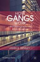 How Gangs Work: An Ethnography of Youth Violence (ePub eBook)
