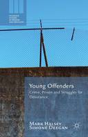Young Offenders (ePub eBook)