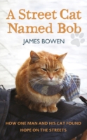A Street Cat Named Bob (ePub eBook)