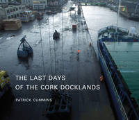 Last Days of Cork Docklands, The