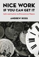 Nice Work If You Can Get It: Life and Labor in Precarious Times (PDF eBook)