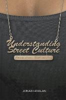 Understanding Street Culture: Poverty, Crime, Youth and Cool (PDF eBook)