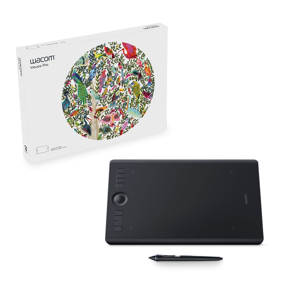 Wacom Intuos Pro M - North