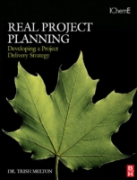 Real Project Planning: Developing a Project Delivery Strategy (PDF eBook)