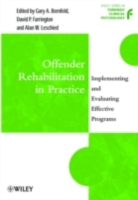 Offender Rehabilitation in Practice (PDF eBook)