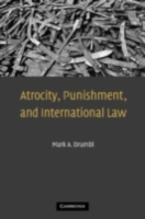 Atrocity, Punishment, and International Law (PDF eBook)